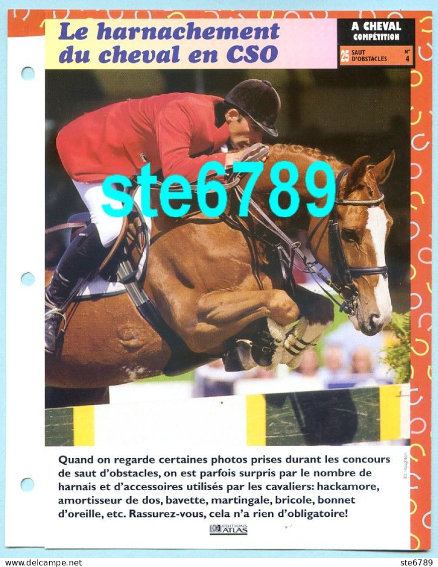 HARNACHEMENT EN CSO  Horse Chevaux A Cheval Cavalier Compétition Equitation Fiche Dépliante - Animaux