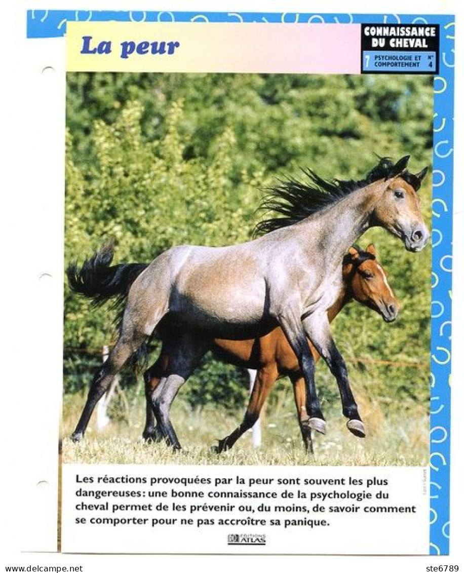 LA PEUR  Horse Chevaux Connaissance Du Cheval Fiche Dépliante - Animales