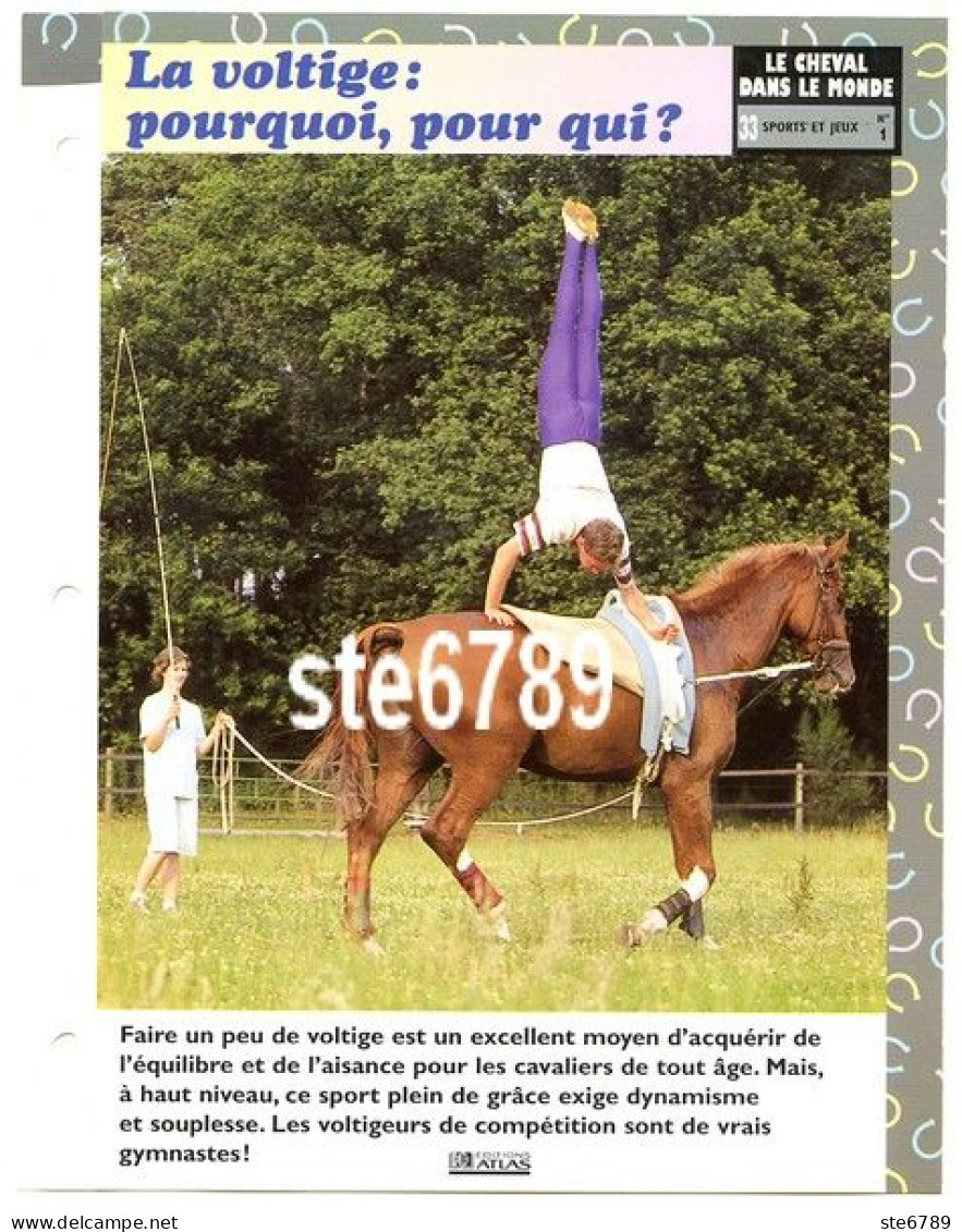 LA VOLTIGE  Horse Chevaux Le Cheval Dans Le Monde Sports Et Jeux Fiche Dépliante - Animaux