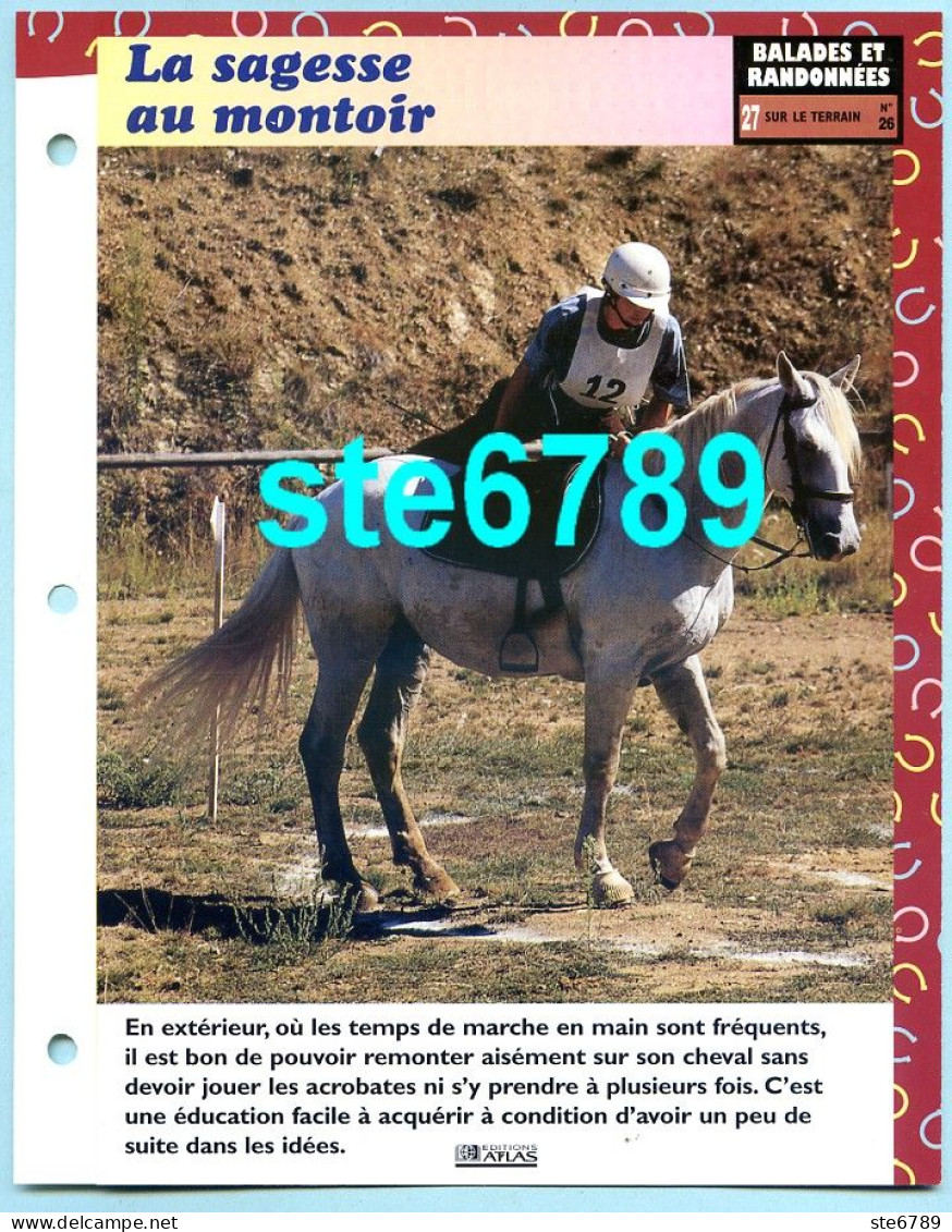 LA SAGESSE AU MONTOIR Horse Chevaux Cheval Balades Et Randonnées Fiche Dépliante - Tiere