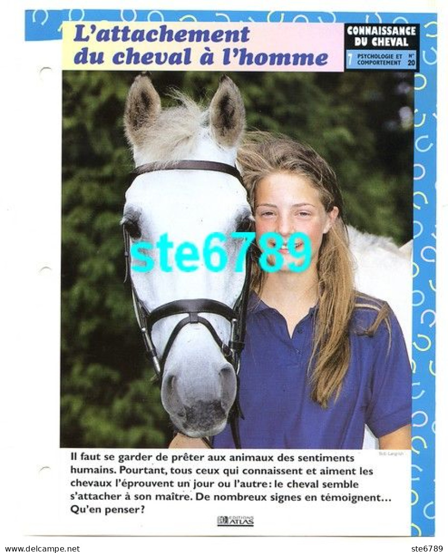 L'ATTACHEMENT DU CHEVAL A L'HOMME  Horse Chevaux Connaissance Du Cheval Fiche Dépliante - Dieren