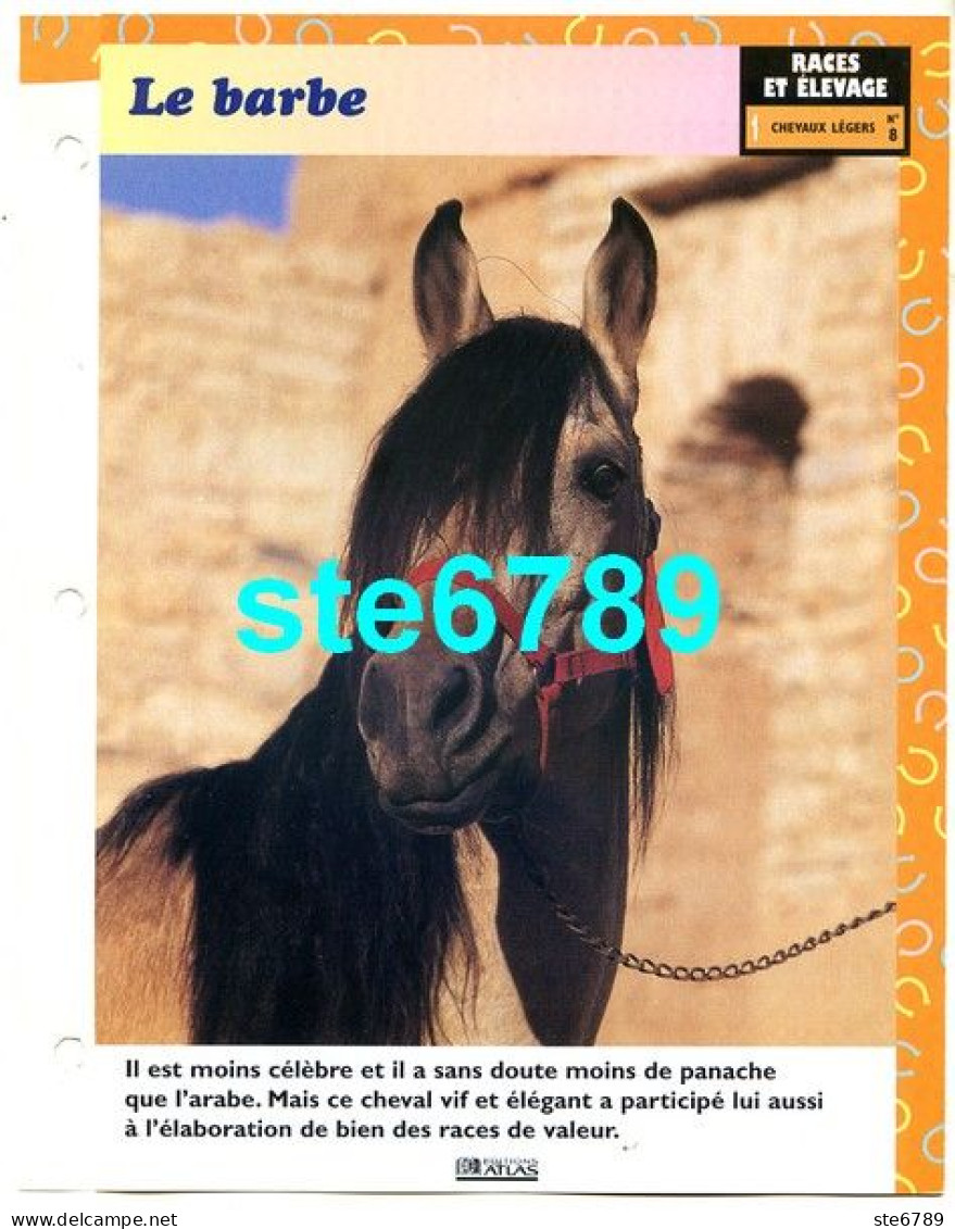 LE BARBE Cheval Horse Chevaux Fiche Dépliante - Dieren