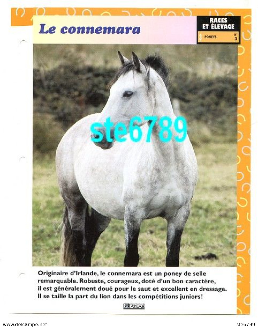 LE CONNEMARA  Poney Cheval Horse Fiche Dépliante - Animaux