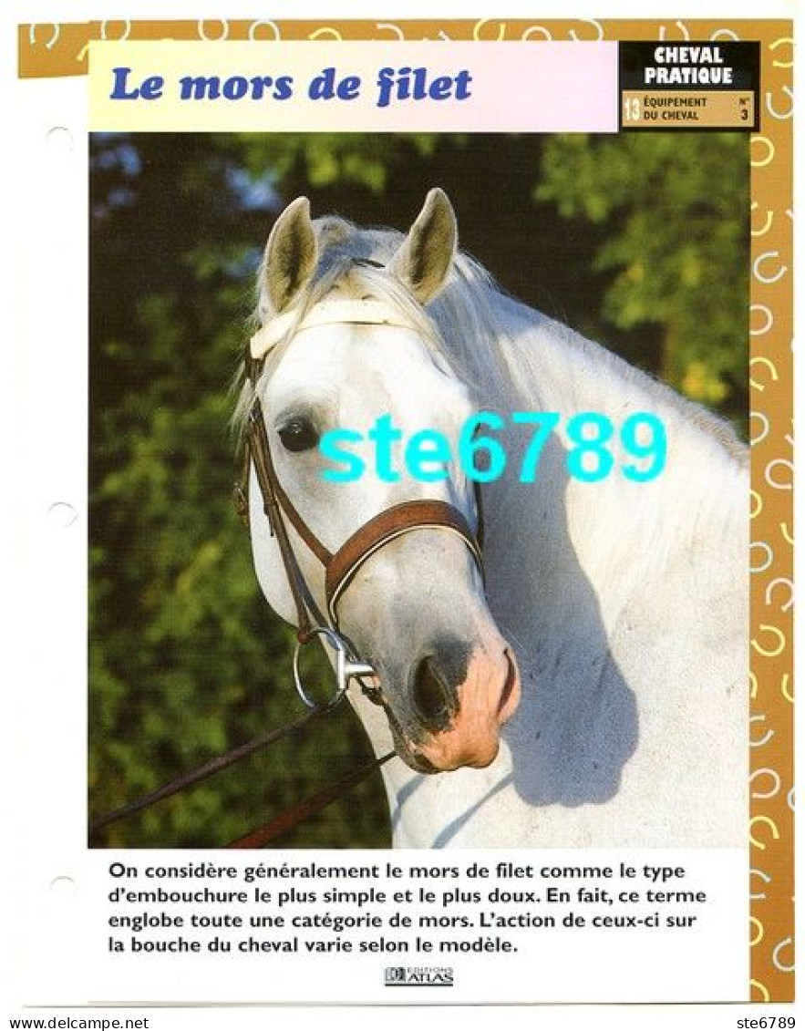 LE MORS DE FILET   Horse Chevaux Cheval Pratique Equipement Fiche Dépliante - Animales