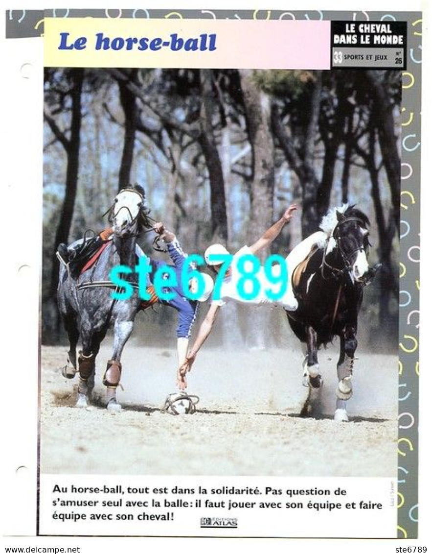 LE HORSE BALL    Horse Chevaux Le Cheval Dans Le Monde Sports Et Jeux Fiche Dépliante - Animales