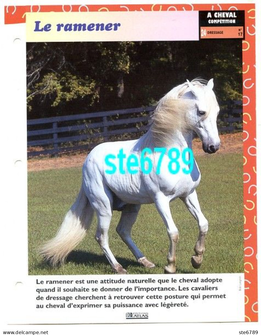 LE RAMENER  Horse Chevaux A Cheval  Cavalier Compétition Equitation Fiche Dépliante - Animales