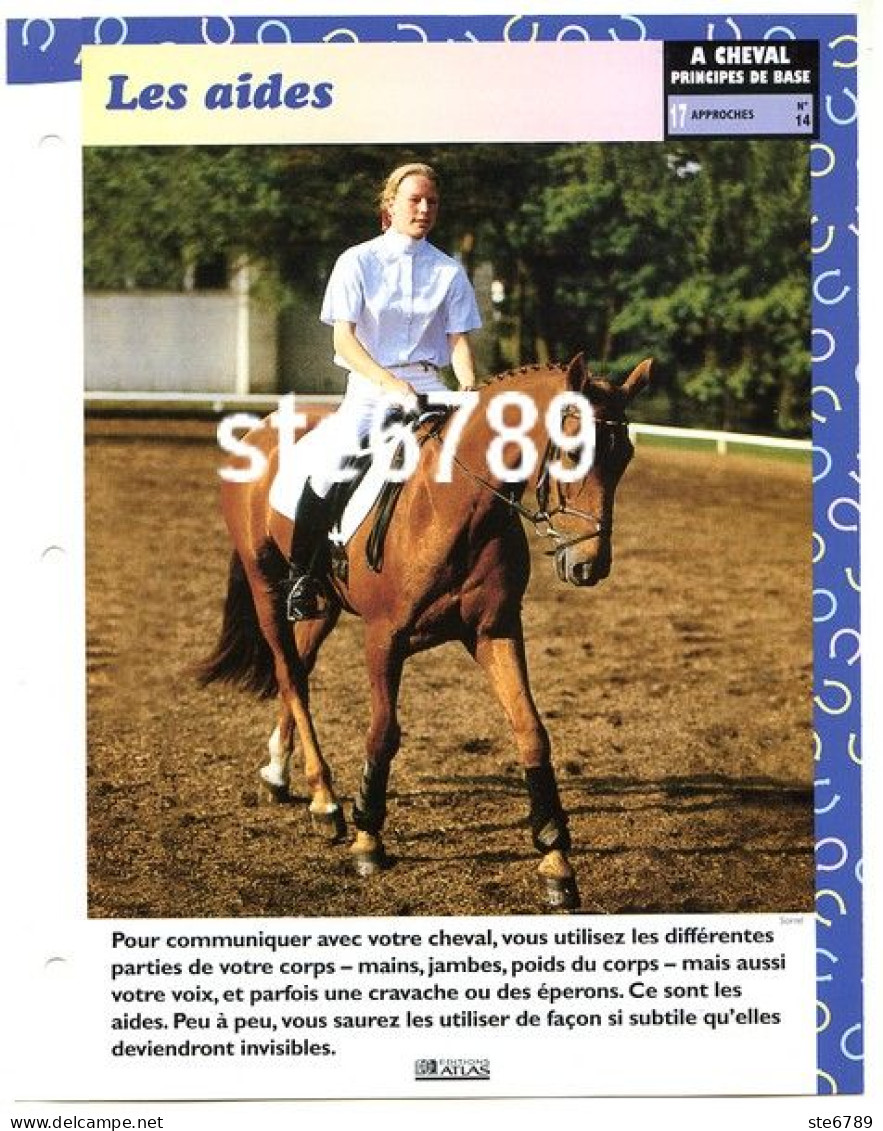 LES AIDES  Horse Chevaux A Cheval Principes De Base Approches Equitation Fiche Dépliante - Animaux