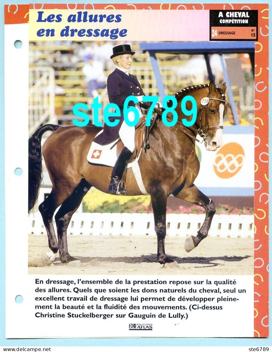 LES ALLURES EN DRESSAGE Horse Chevaux A Cheval Cavalier Compétition Equitation Fiche Dépliante - Tiere