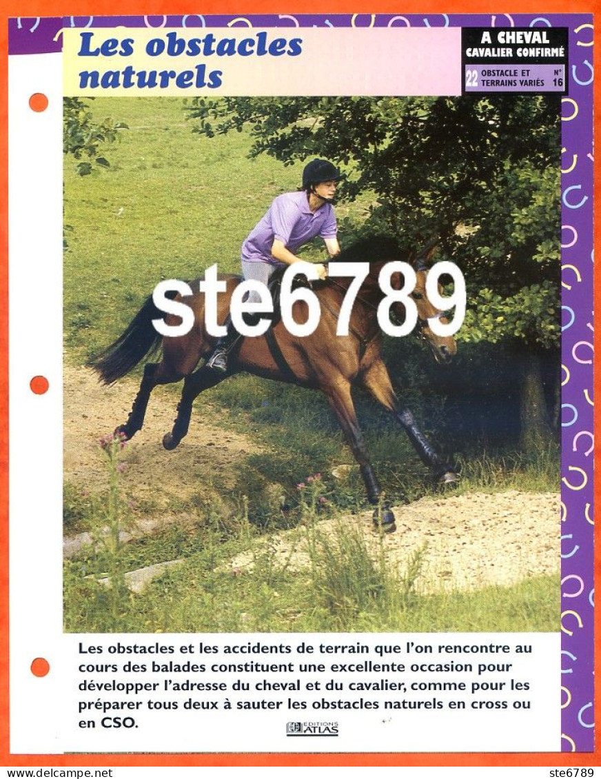 LES OBSTACLES NATURELS Horse Chevaux A Cheval Cavalier Confirmé Equitation Fiche Dépliante - Animaux