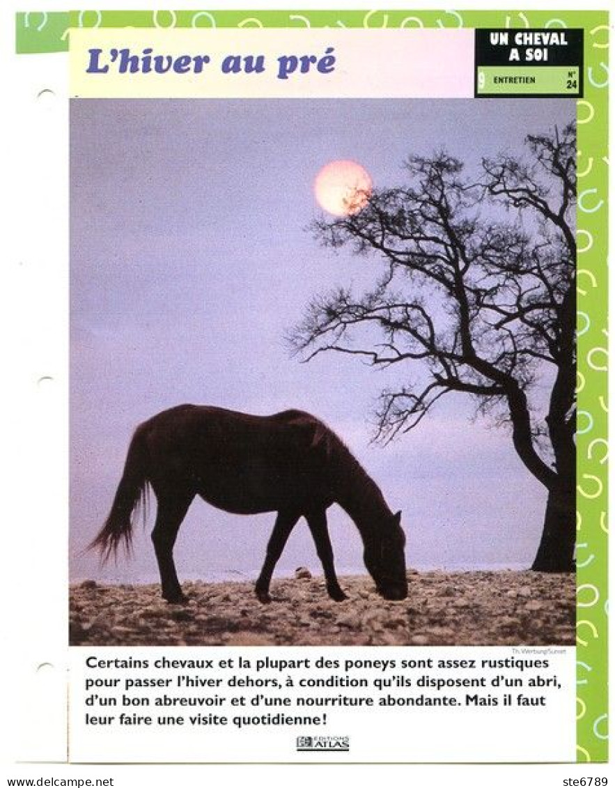 L'HIVER  AU PRE   Horse Chevaux Un Cheval à Soi Entretien Fiche Dépliante - Animales