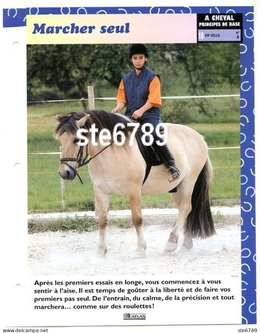 MARCHER SEUL   Horse Chevaux A Cheval Principes De Base En Selle Equitation Fiche Dépliante - Tiere