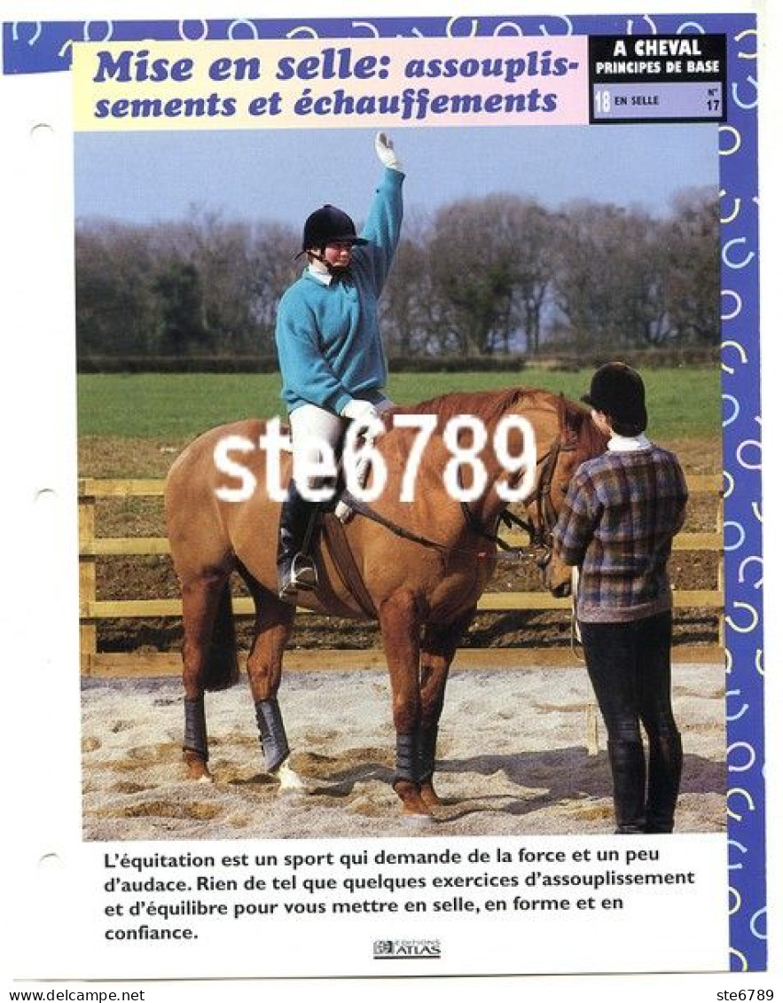 MISE EN SELLE ECHAUFFEMENTS Horse Chevaux A Cheval Principes De Base En Selle Equitation Fiche Dépliante - Dieren