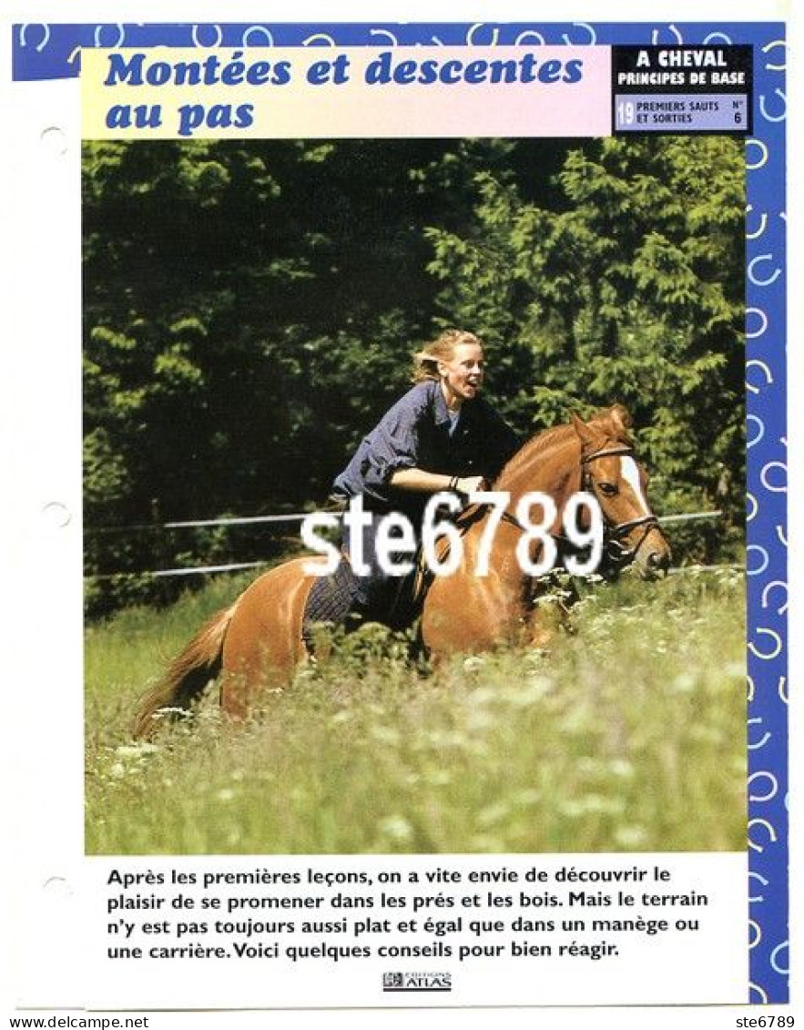 MONTEES ET DESCENTES AU PAS  Horse Chevaux A Cheval Principes De Base Premiers Sauts  Equitation Fiche Dépliante - Animaux