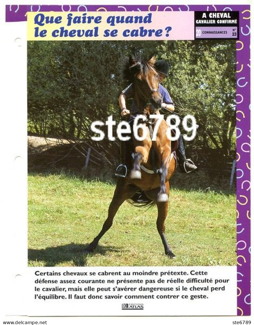 QUE FAIRE CHEVAL SE CABRE  Horse Chevaux A Cheval  Cavalier Confirmé Equitation Fiche Dépliante - Animales