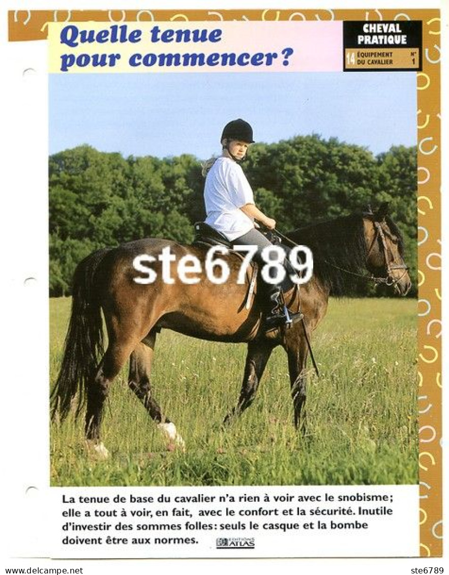 QUELLE TENUE POUR COMMENCER Horse Chevaux Cheval Pratique Equipement Fiche Dépliante - Animaux