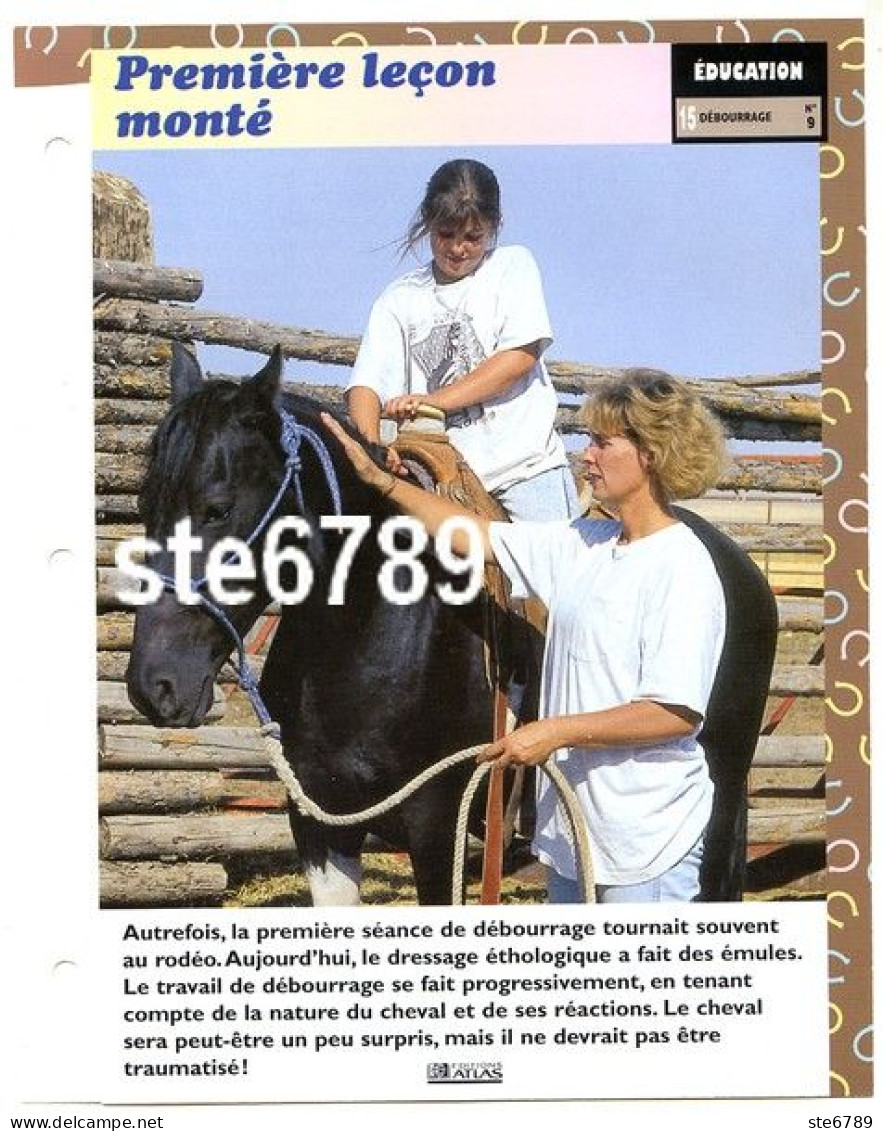 PREMIERE LECON MONTE  Horse Chevaux Education Cheval Débourrage Fiche Dépliante - Animaux