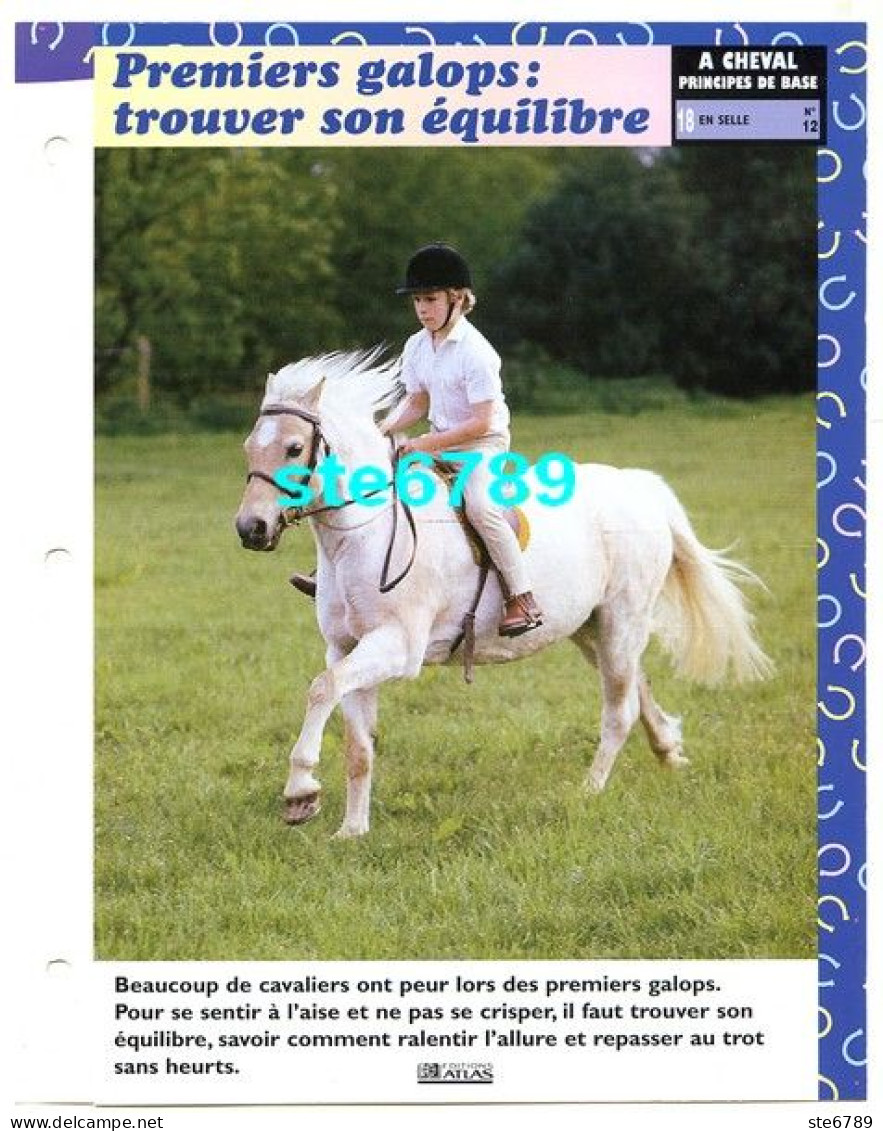 PREMIERS GALOPS EQUILIBRE   Horse Chevaux A Cheval Principes De Base En Selle Equitation Fiche Dépliante - Animaux