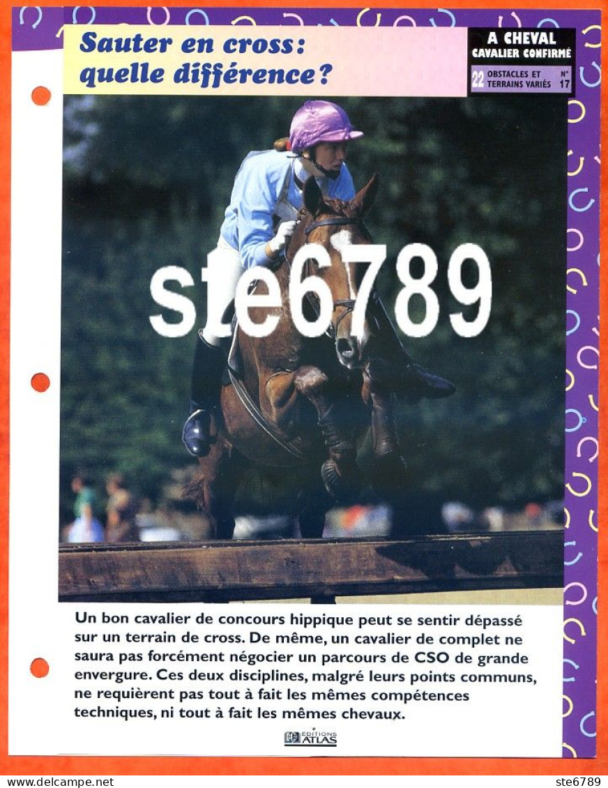 SAUTER EN CROSS Horse Chevaux A Cheval Cavalier Confirmé Equitation Fiche Dépliante - Tiere