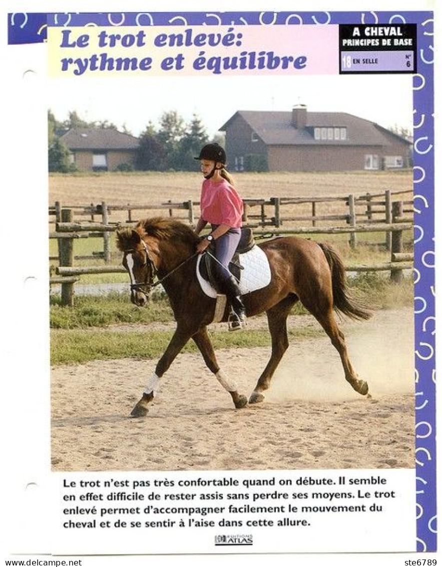 TROT ENLEVE  Horse Chevaux A Cheval Principes De Base En Selle Equitation Fiche Dépliante - Tiere