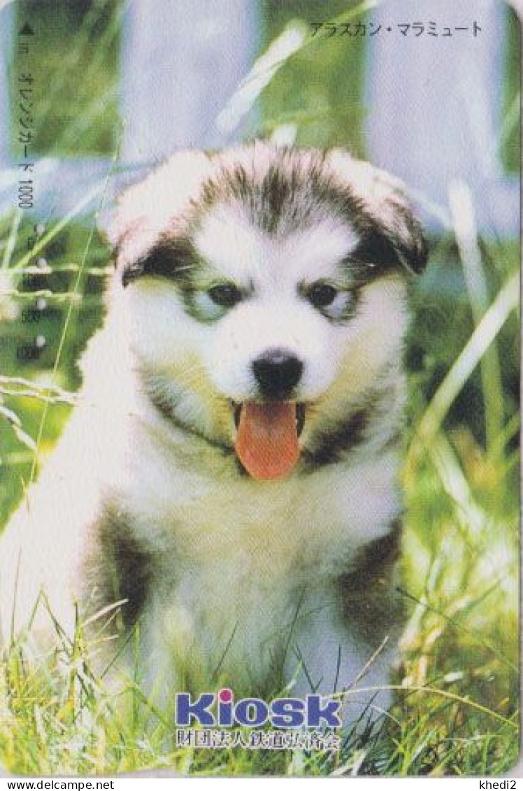 Carte Orange JAPON - Série KIOSK - ANIMAL - CHIEN - HUSKY - ALASKAN MALAMUTE HUSKIE DOG - JAPAN Prepaid JR Card - 1241 - Cani