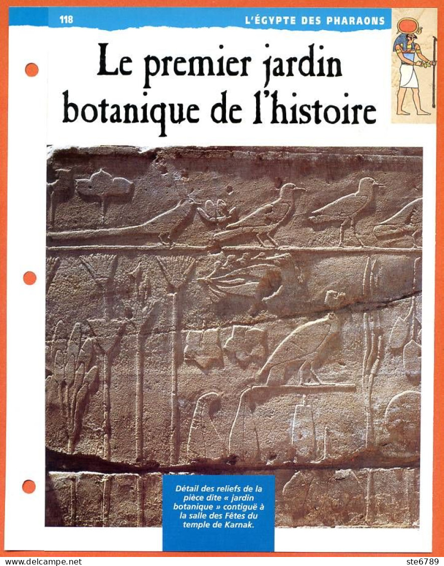 LE PREMIER JARDIN BOTANIQUE DE L'HISTOIRE   Histoire Fiche Dépliante Egypte Des Pharaons - History