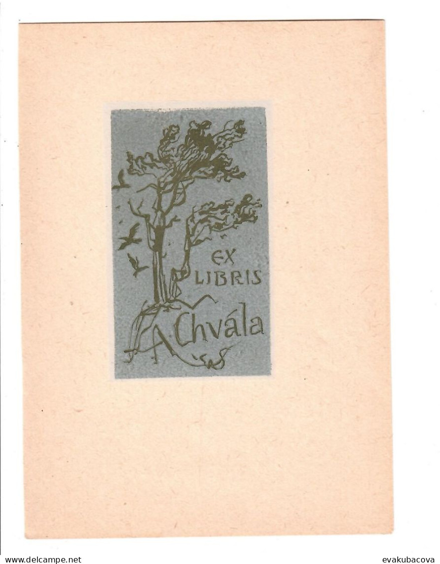 Ex Libris.100mmx150mm. - Exlibris