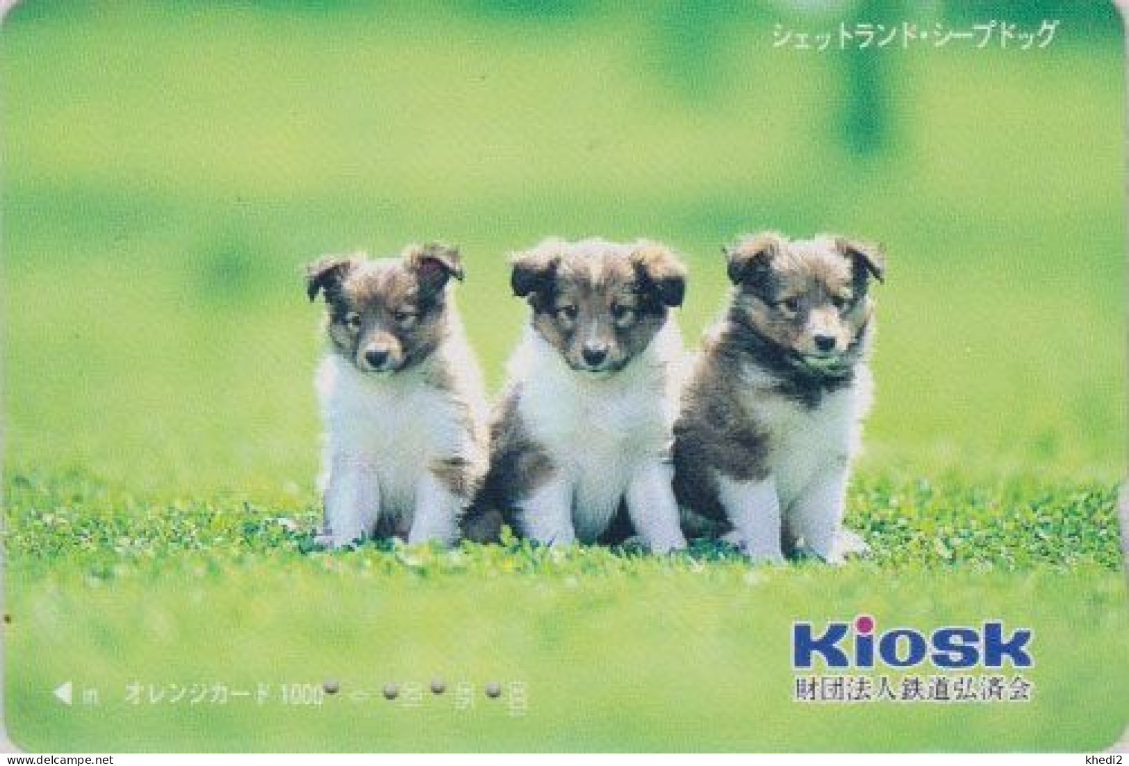 Carte Orange JAPON - Série KIOSK - ANIMAL -  CHIEN BERGER - SHETLAND SHEEP DOG - JAPAN Prepaid JR Card - 1246 - Chiens