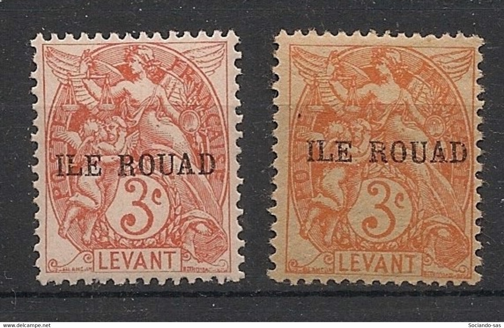 ROUAD - 1916-20 - N°YT. 6 + 6b - Type Blanc 3c - Papier Blanc + Papier GC - Neuf Luxe ** / MNH / Postfrisch - Nuovi