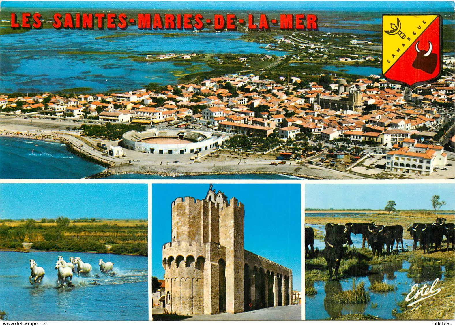 13* STES MARIES DE LA MER   Multivues  (CPM 10,5x15cm)   RL16,0681 - Saintes Maries De La Mer