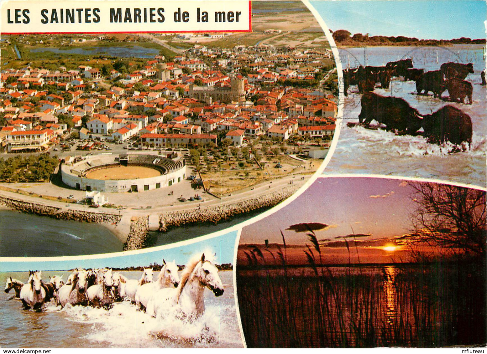 13* STES MARIES DE LA MER    Multivues  (CPM 10,5x15cm)   RL16,0661 - Saintes Maries De La Mer