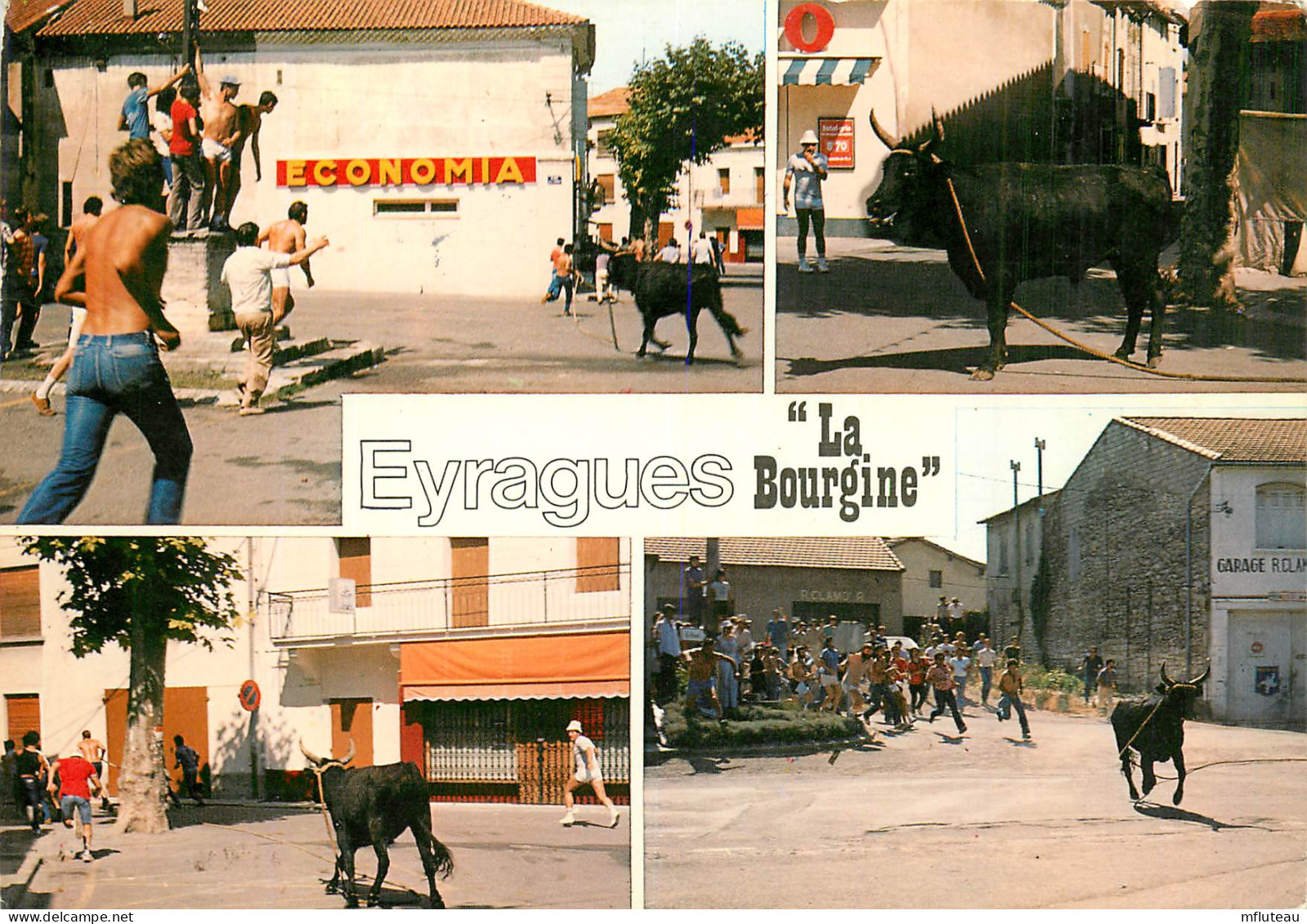 13* EYRAGUES « la Bourgine »  Multivues  (CPM 10,5x15cm)   RL16,0650 - Eyguieres