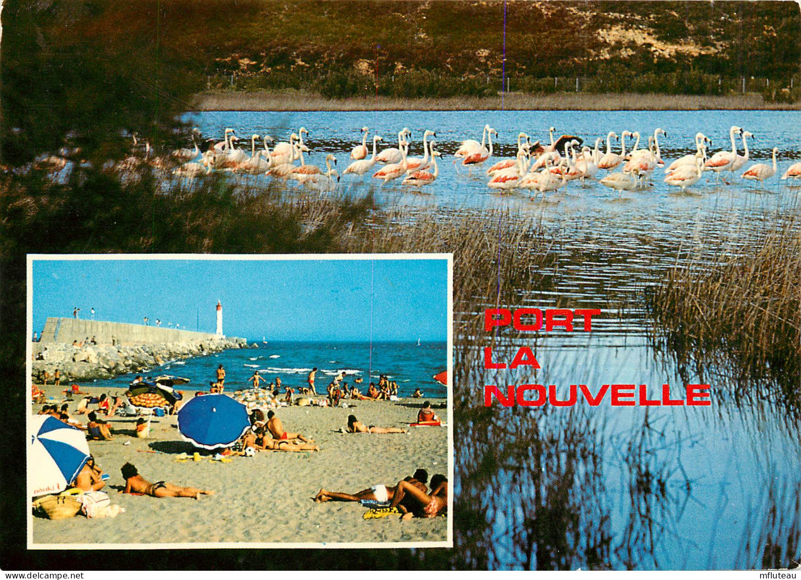 11* PORT LA NOUVELLE  Etangs – Plage  (CPM 10,5x15cm)   RL16,0538 - Port La Nouvelle