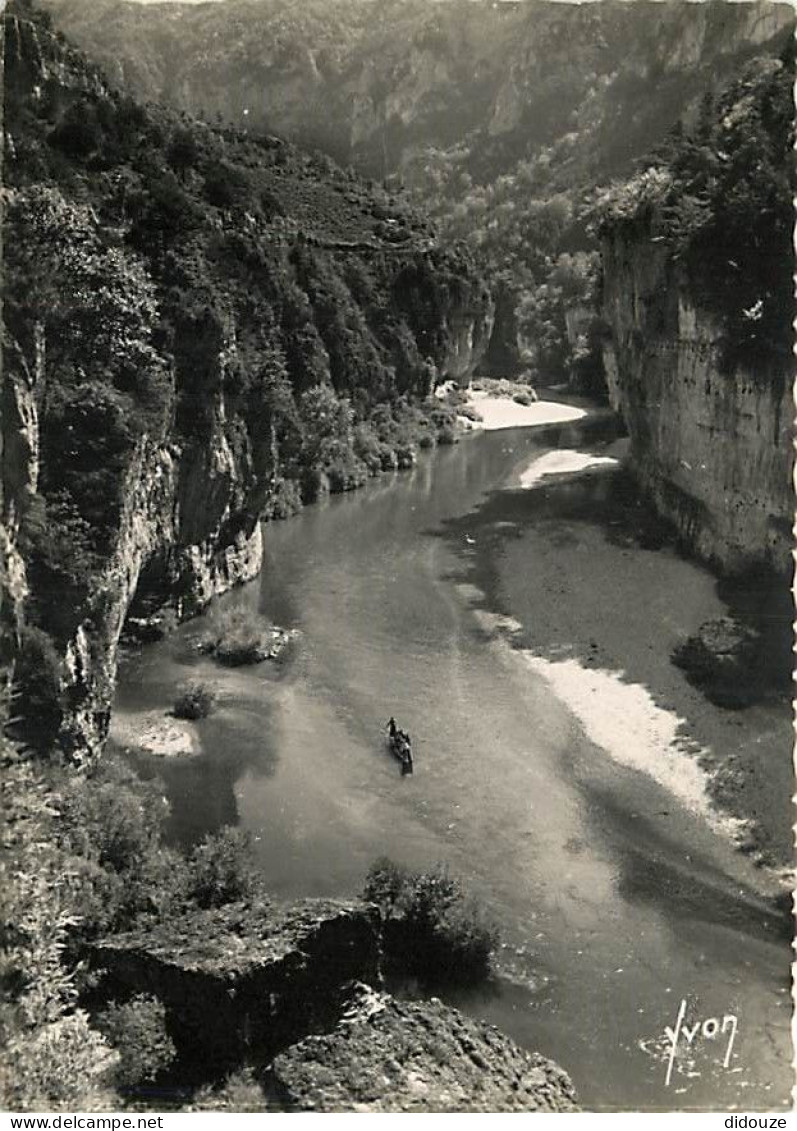 48 - Les Gorges Du Tarn - Environs De La Malène - Mention Photographie Véritable - Carte Dentelée - CPSM Grand Format -  - Gorges Du Tarn