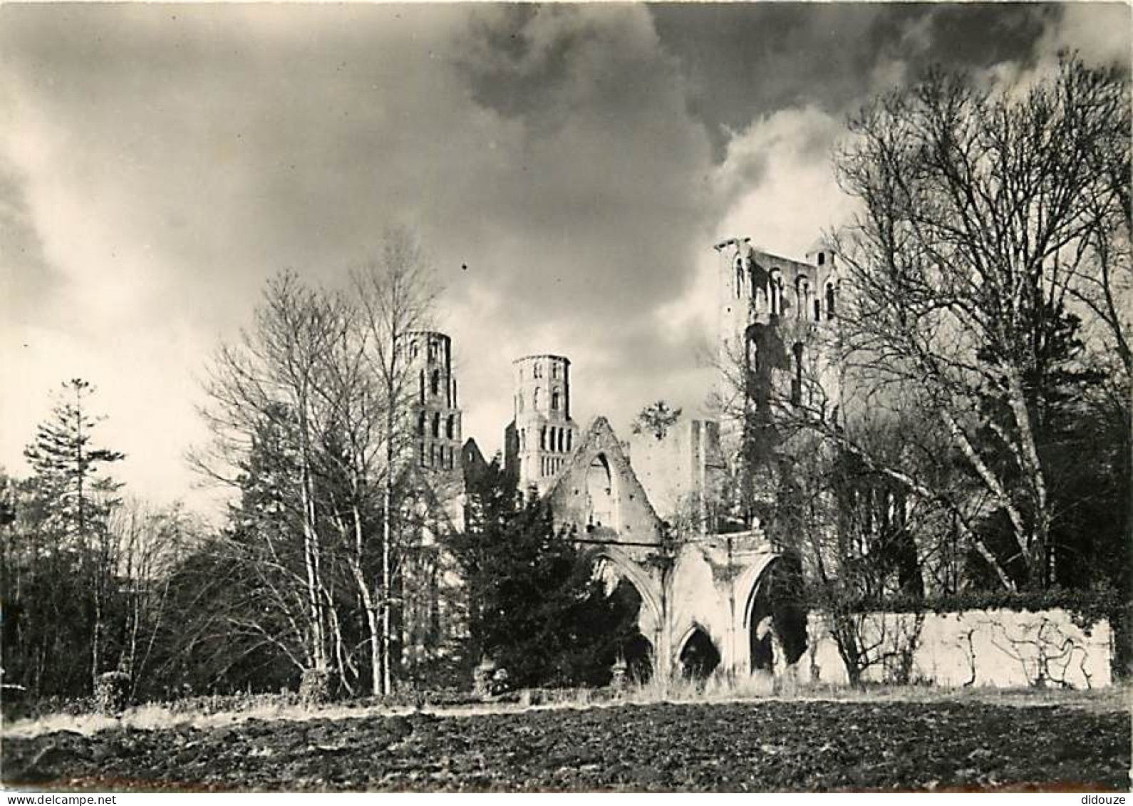 76 - Jumièges - Les Ruines De L'Abbaye - Les églises St-Pierre Et Notre-Dame Vues Du Sud-est - Mention Photographie Véri - Jumieges