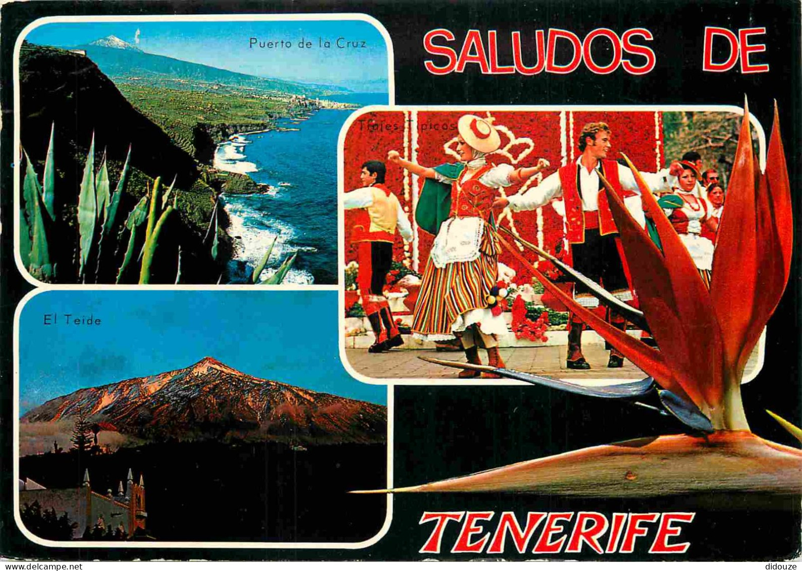 Espagne - Espana - Islas Canarias - Tenerife - Multivues - Danse - Folklore - CPM - Voir Scans Recto-Verso - Tenerife