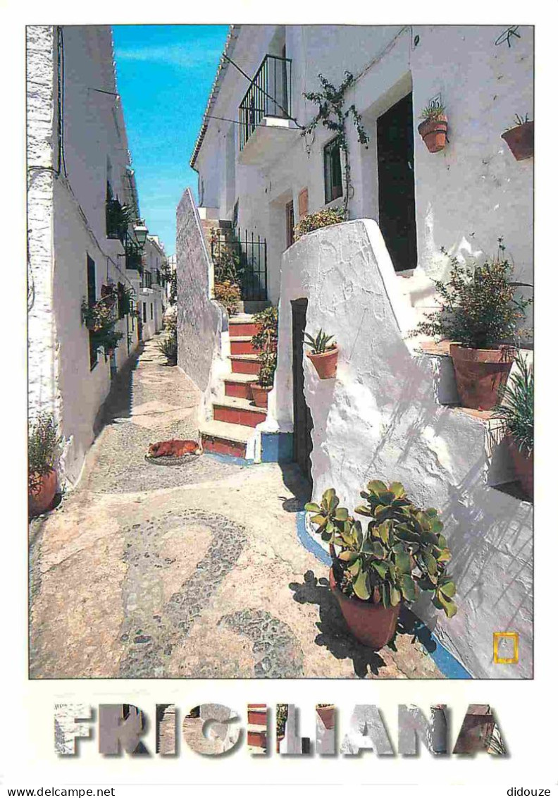 Espagne - Espana - Andalucia - Frigiliana - Calle Tipica - Rue Typique - CPM - Voir Scans Recto-Verso - Other & Unclassified