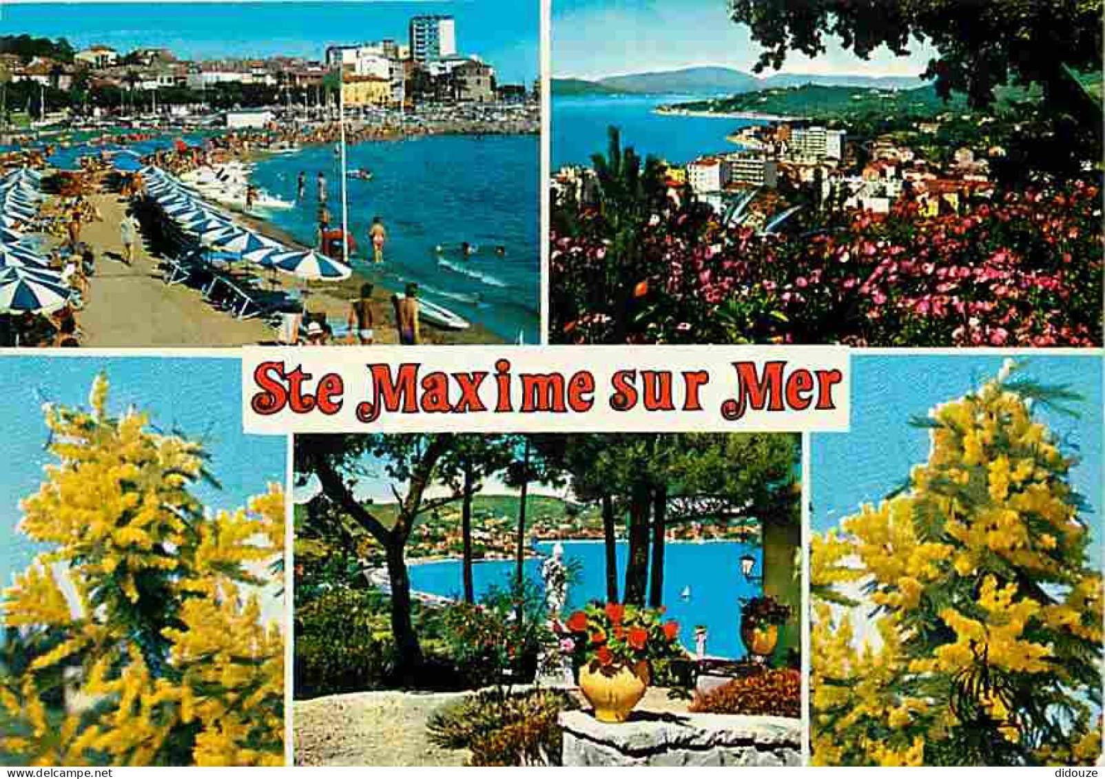 83 - Sainte Maxime Sur Mer - Carte Neuve - CPM - Voir Scans Recto-Verso - Sainte-Maxime