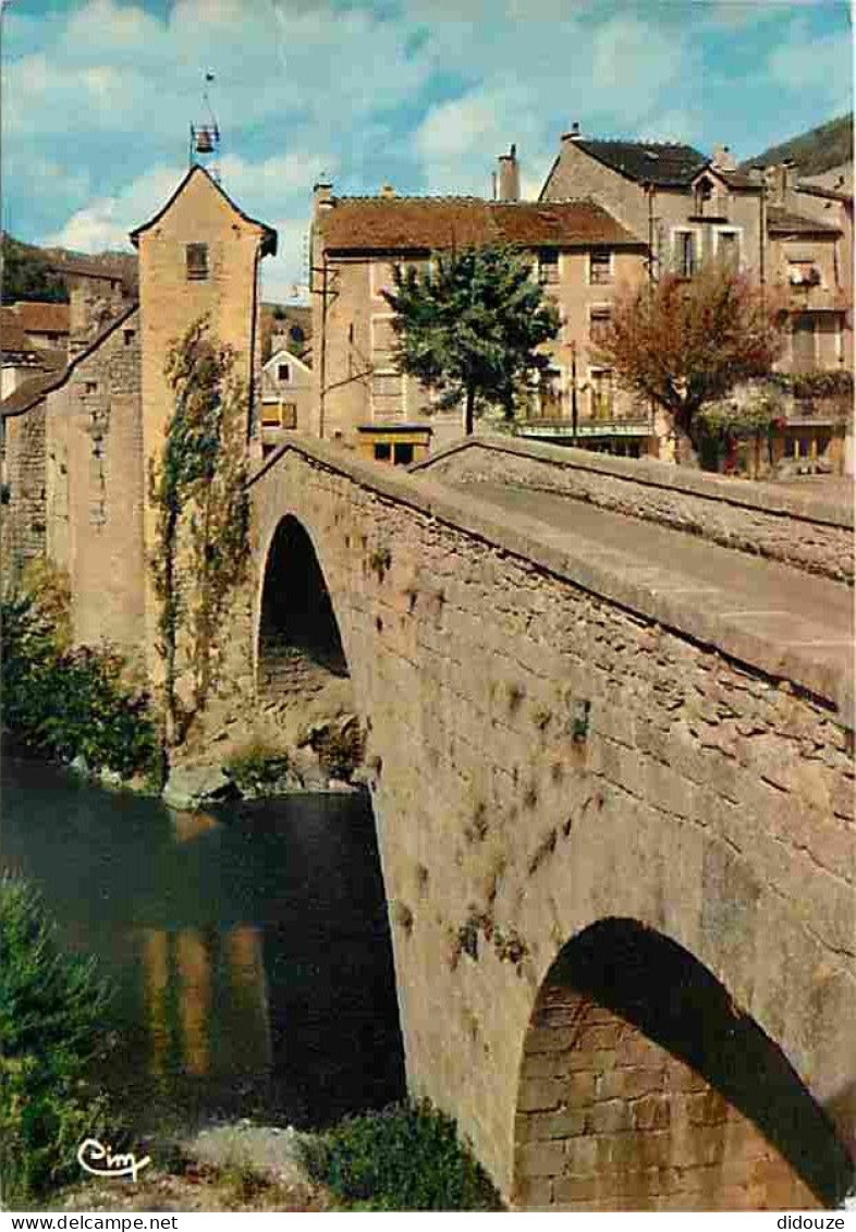 48 - Pont De Montvert - Le Pont Sur Le Tarn Et L'horloge - CPM - Voir Scans Recto-Verso - Le Pont De Montvert