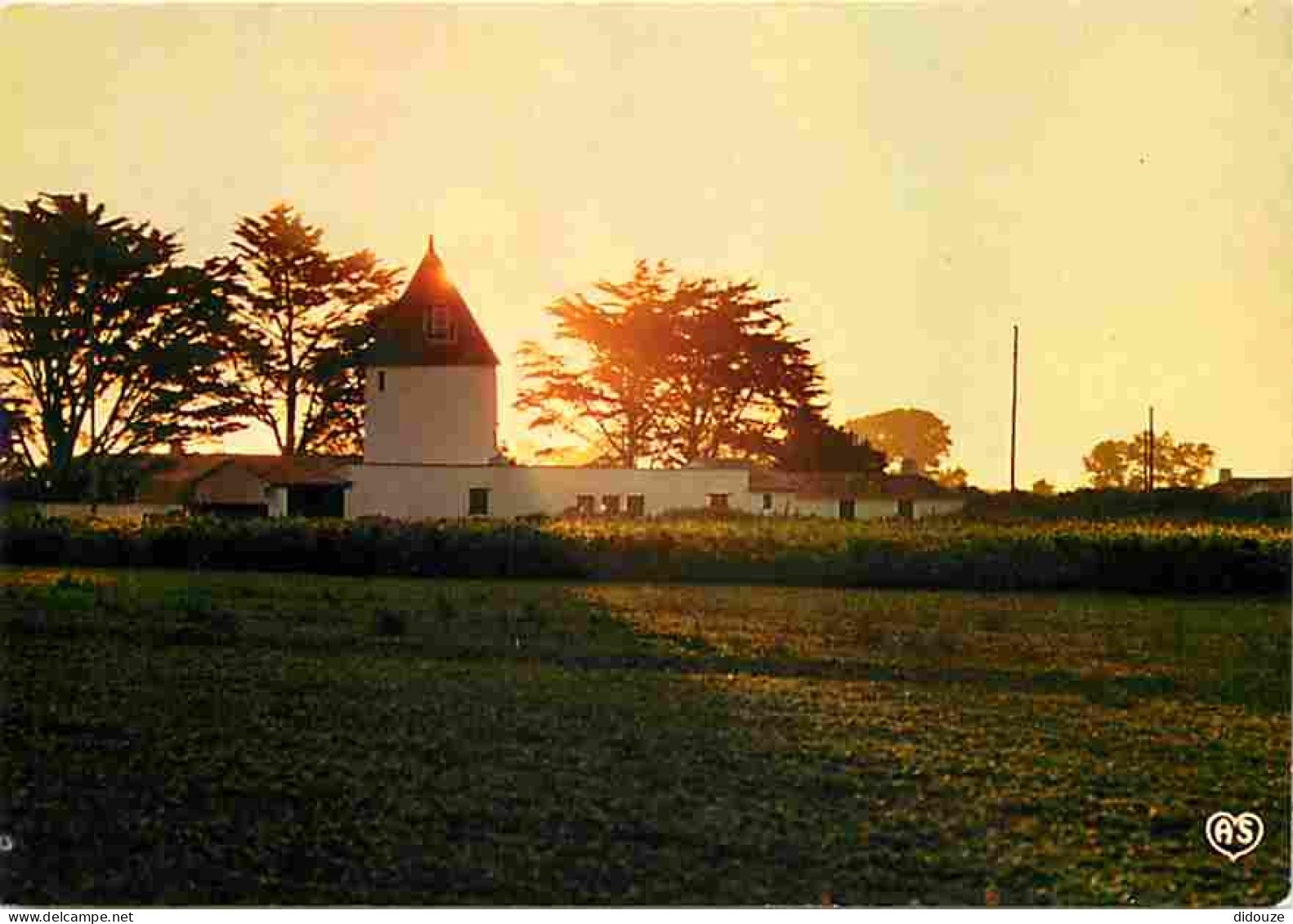 17 - Ile De Ré - Ars En Ré - Lever De Soleil Sur Le Moulin - CPM - Voir Scans Recto-Verso - Ile De Ré