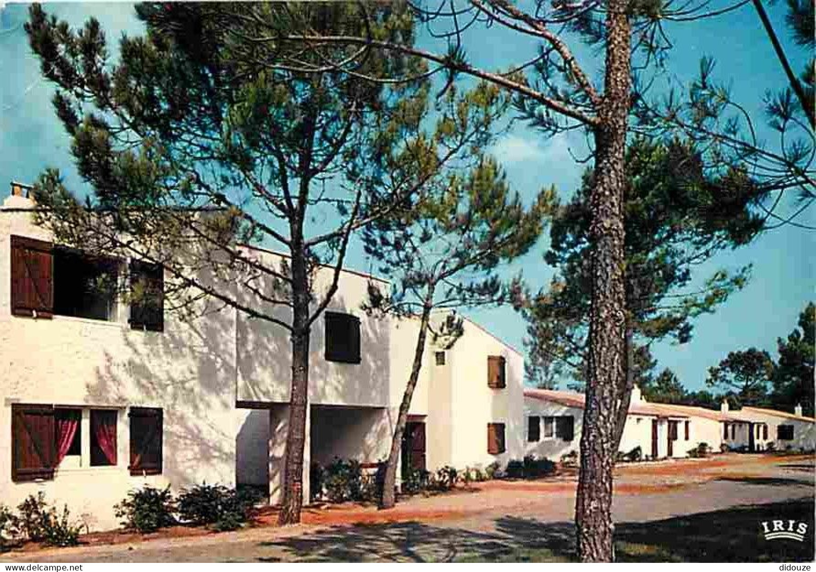 17 - La Palmyre - La Coubre - Village Médiéval - Scène Populaire Dans La Rue De Virouna - Carte Neuve - CPM - Voir Scans - Les Mathes