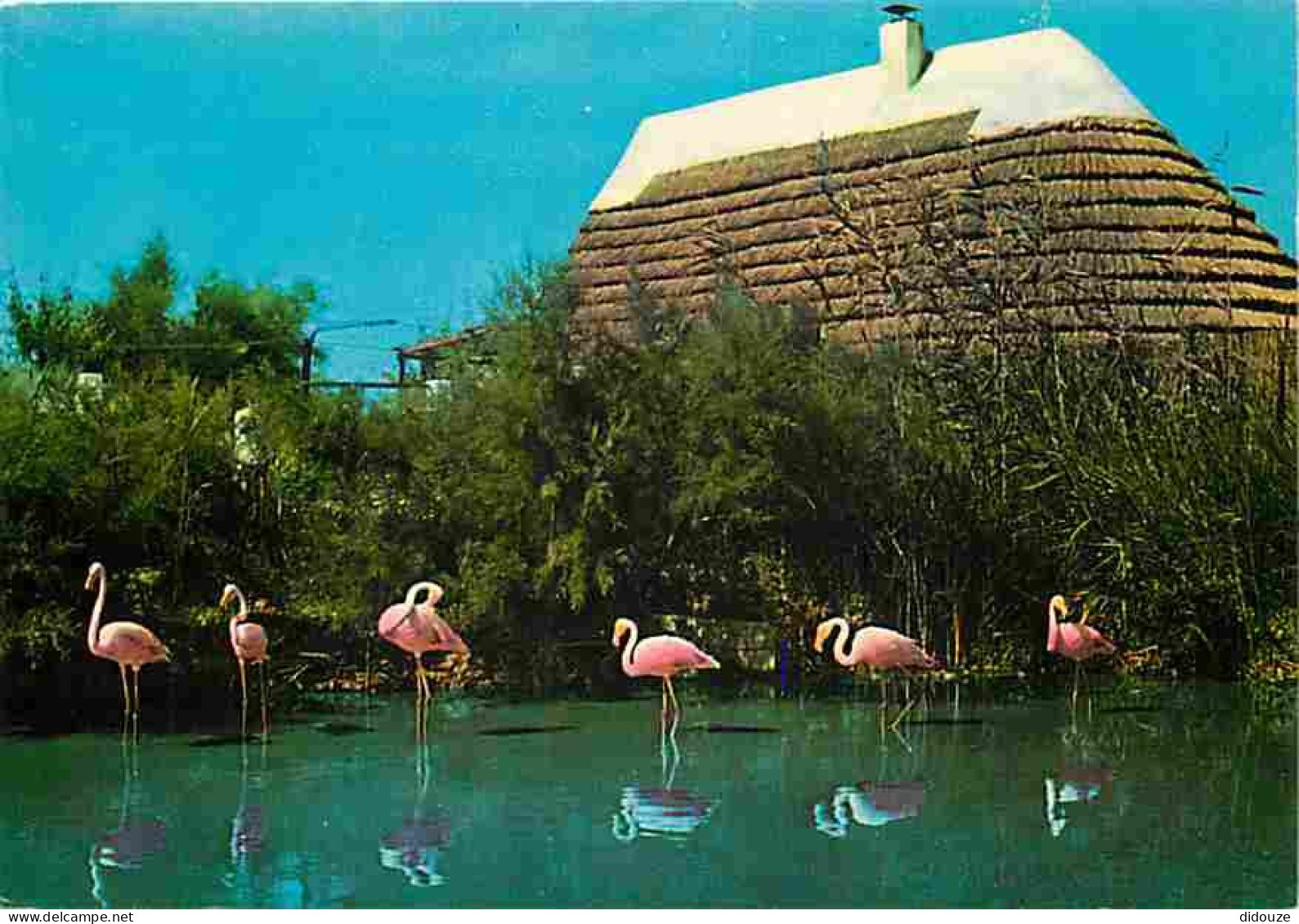 13 - Les Saintes Maries De La Mer - Cabane De Gardian - Flamants Roses - Carte Neuve - CPM - Voir Scans Recto-Verso - Saintes Maries De La Mer