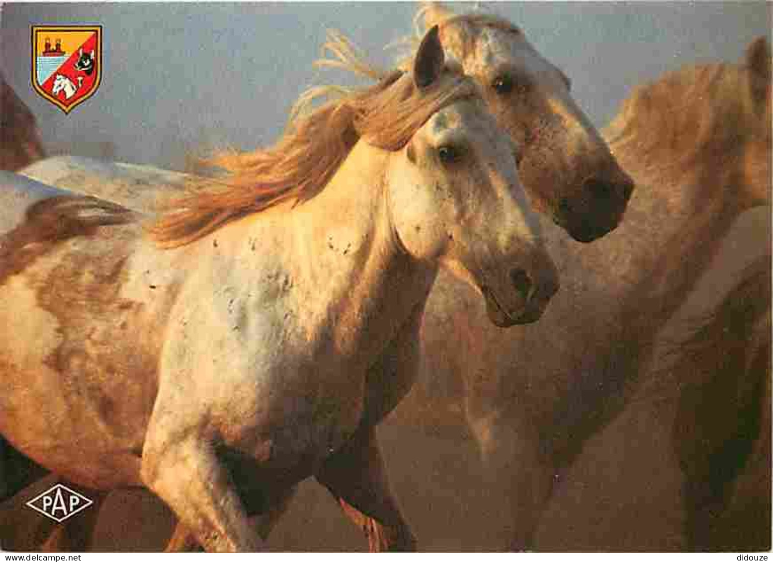 Animaux - Chevaux - Camargue - Chevaux Camarguais - Manade Lebret - Blasons - CPM - Voir Scans Recto-Verso - Pferde