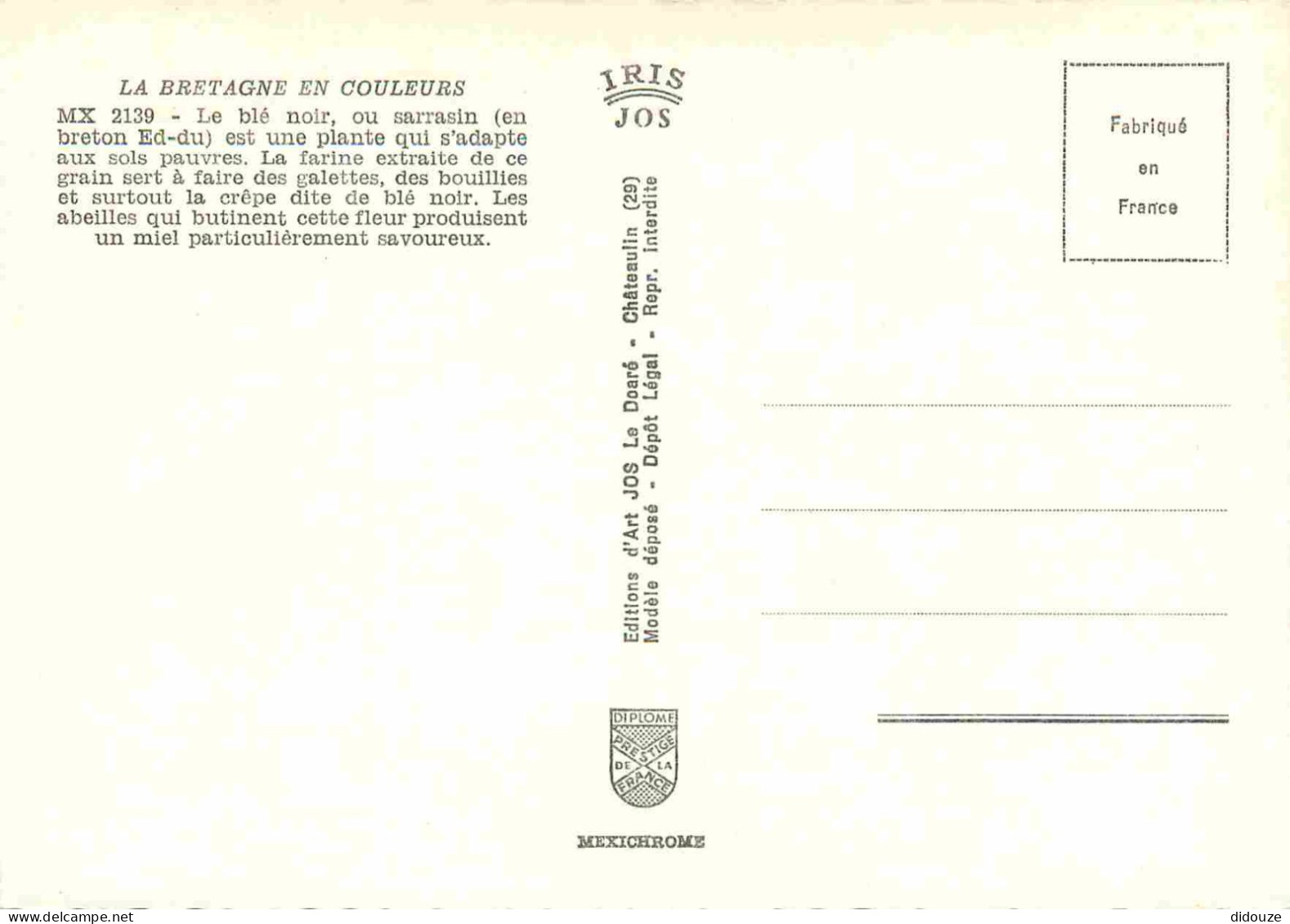 Régions - Bretagne - Le Blé Noir Ou Sarrasin - Carte Dentelée - CPSM Grand Format - Voir Scans Recto-Verso - Bretagne