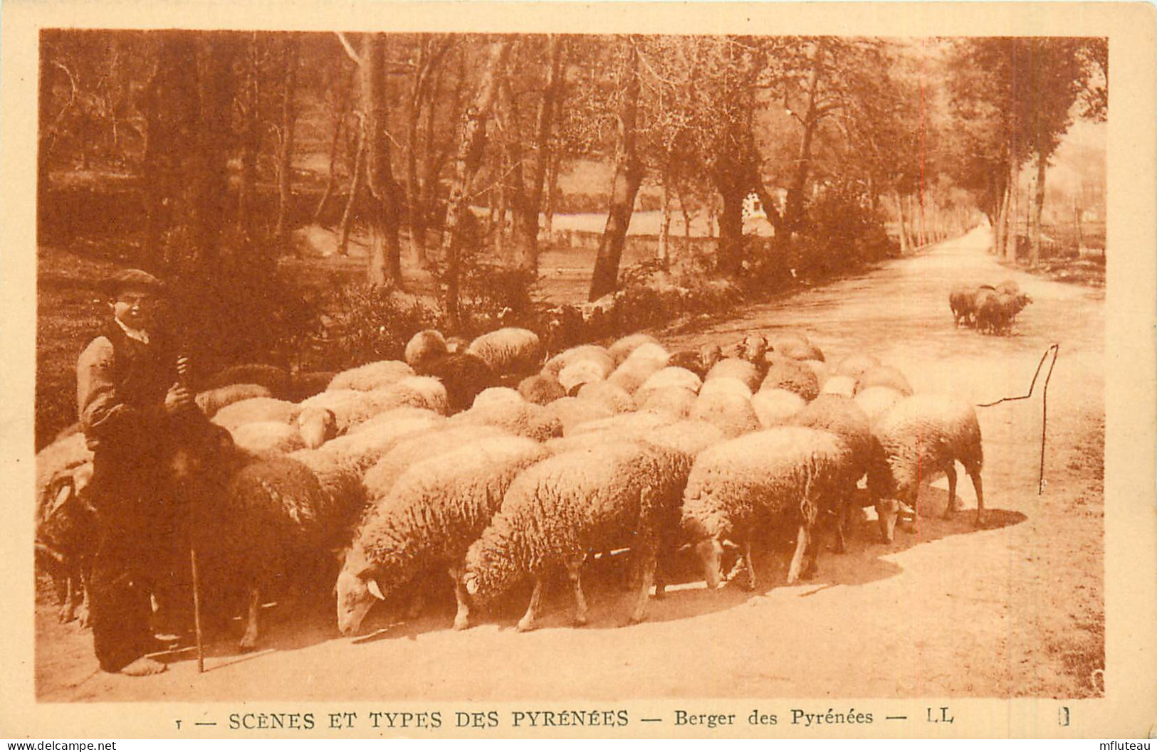 65* PYRENEES  Berger   Troupeau           RL42,1157 - Breeding