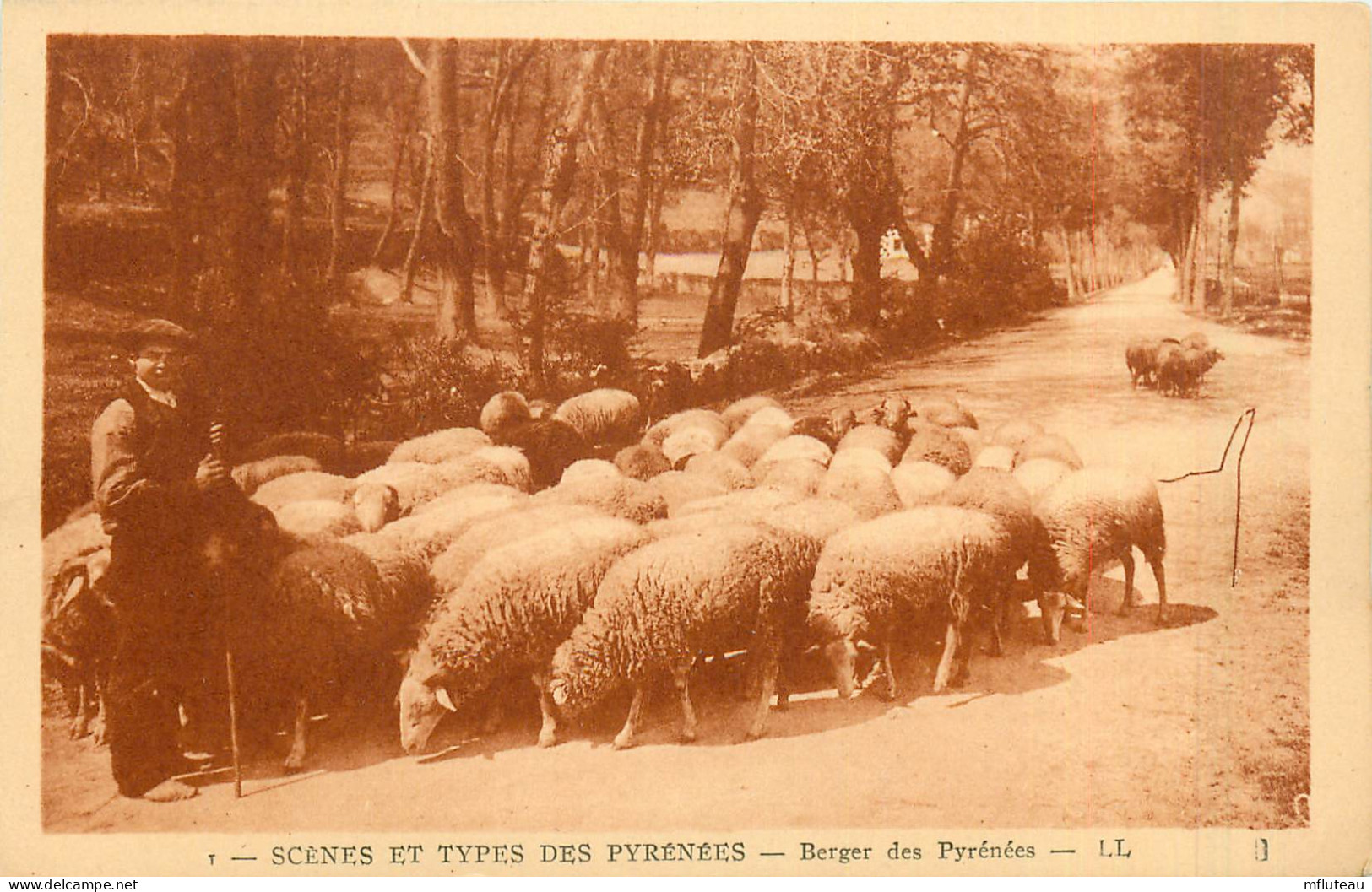 65* PYRENEES  Berger   Troupeau           RL42,1157 - Viehzucht