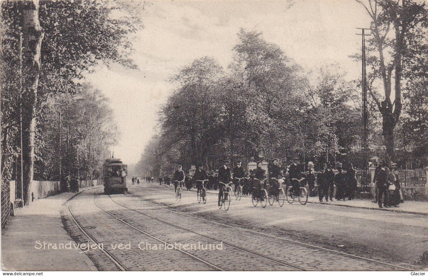 Danmark - Strandvejen Ved Charlottenlund - Tram - Dänemark