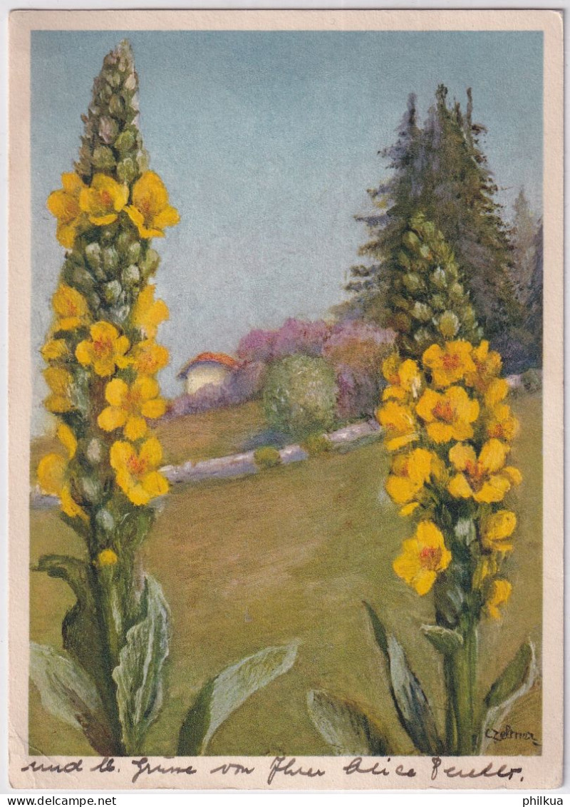 Zeltner Künstlerkarte - 10 Grossblättrige Königskerze - Gelaufen 1935 Ab Bern - Fiori