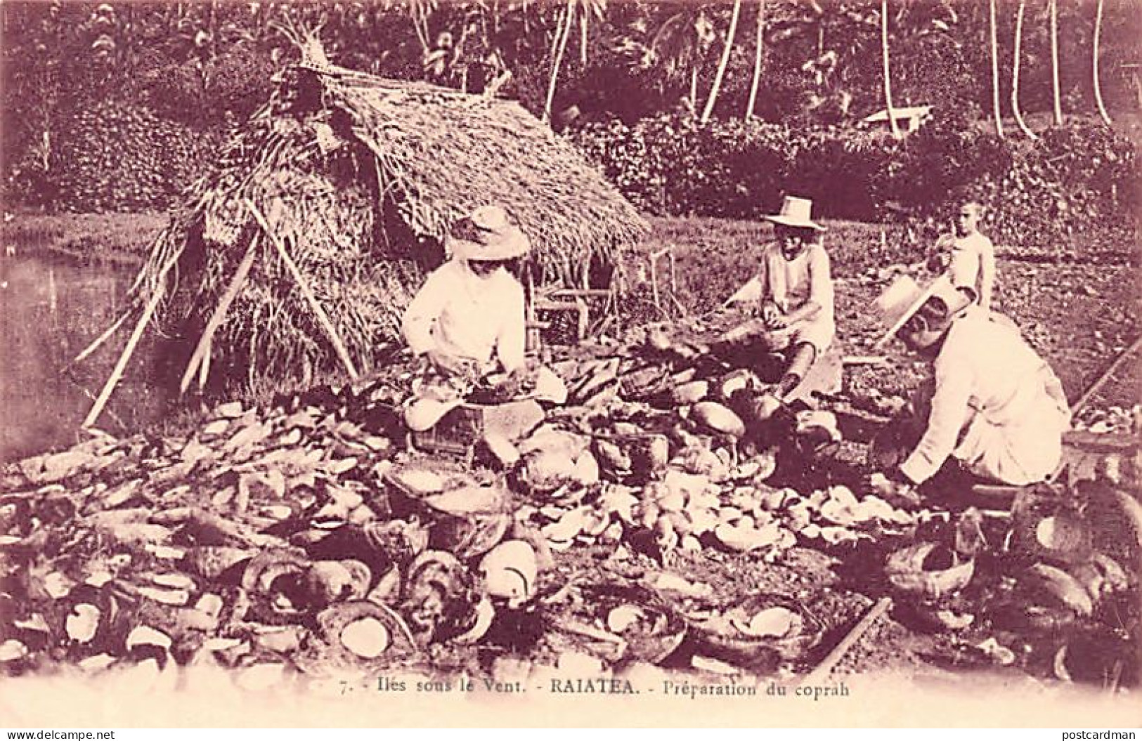 Polynésie - Iles Sous Le Vent - RAIATEA - Préparation Du Coprah - Ed. Inconnu 7 - Polynésie Française