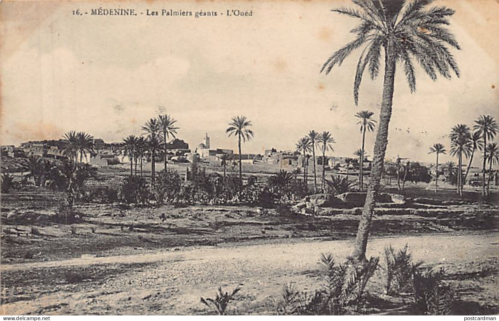 Tunisie - MÉDENINE - Les Palmiers Géants - L'Oued - Ed. A. Muzi 16 - Tunesië