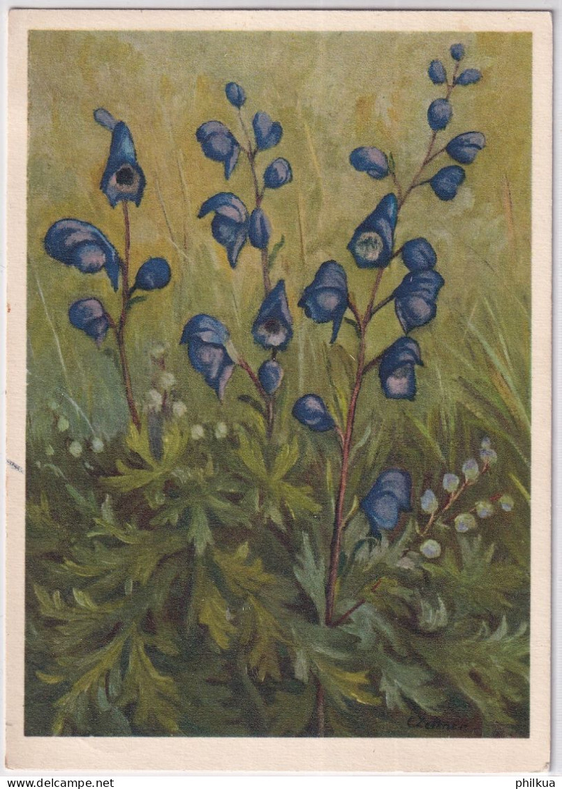 Zeltner Künstlerkarte - 82 Echter Eisenhut - Gelaufen 1943 Ab Neuchâtel - Flowers